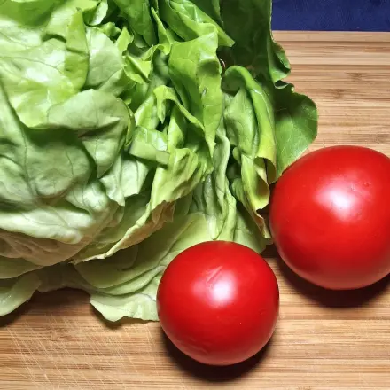 Salat immer frisch
