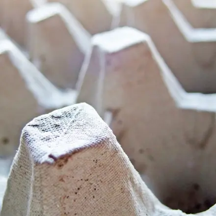 Eierkarton als Partyteller