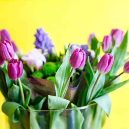 Tulpen länger frisch