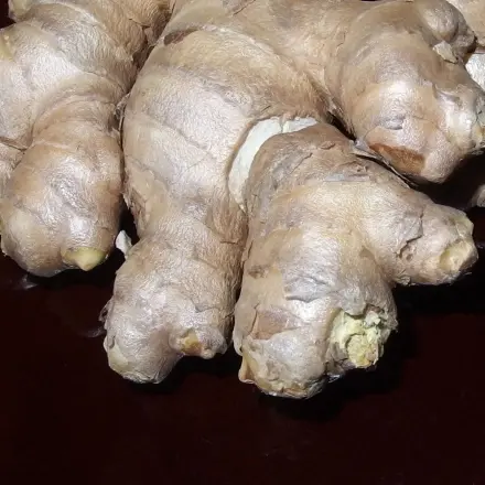 Ingwerstäbe selber machen