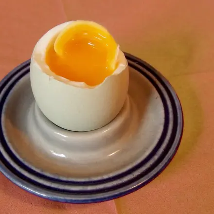 Eierkocher - idiotensicher