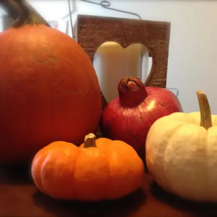 Zierkürbisse schimmeln nicht so schnell mit Haarspray