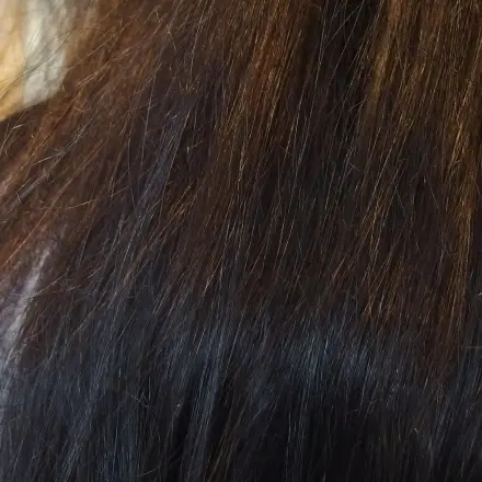 Haare mit Henna färben