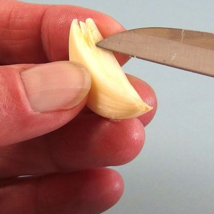 Knutschen mit Knoblauch