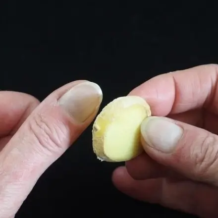 Nagelbettrisse: Ingwer und Schrundensalbe
