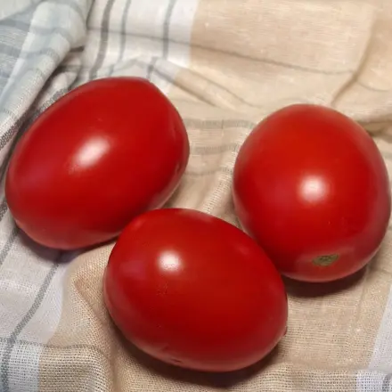 Gemüse / Salat in Geschirrhandtüchern lagern