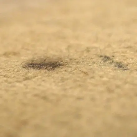 Flecken auf Auslegware