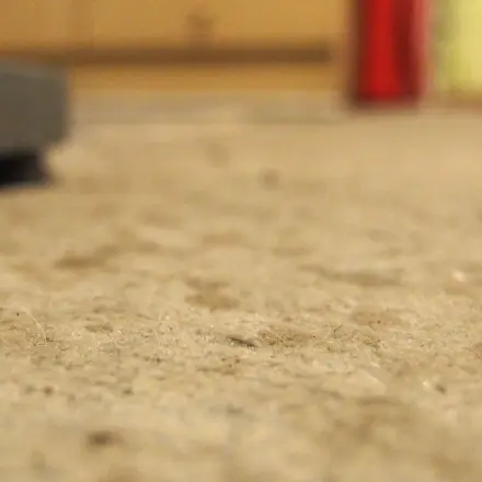 Rechtzeitige Schmutz- und Fleckenentfernung