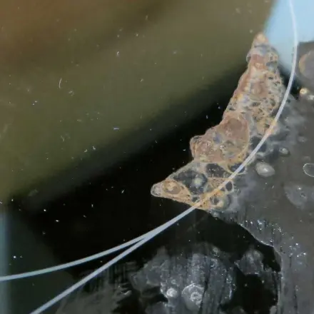 Waschpulver gegen Angebranntes auf dem Herd