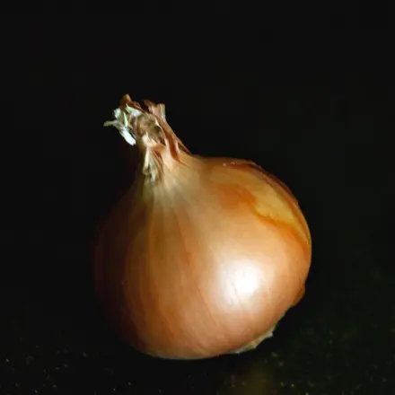 Gefrorene Zwiebeln = schälen ohne Tränen