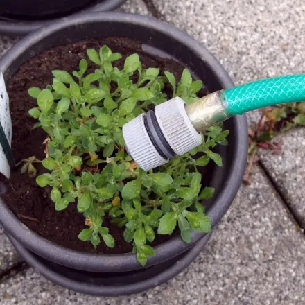 Balkongarten gießen ohne Kannen zu schleppen