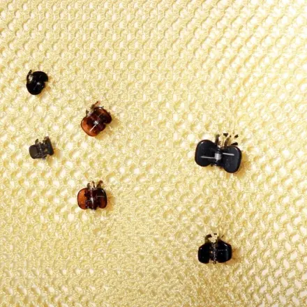 Dem Spangen- und Haarklammernchaos Herr werden