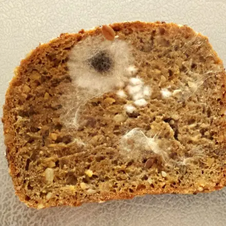 Mit Backpulver den Brotkasten reinigen