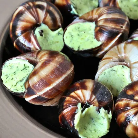 Schnecken zubereiten