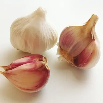 Knoblauch haltbar machen ohne Öl