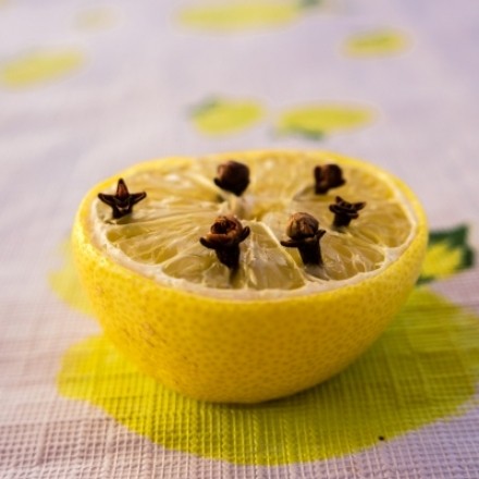 Zitrone und Gewürznelken gegen Obstfliegen