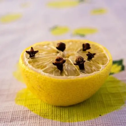 Zitrone und Gewürznelken gegen Obstfliegen