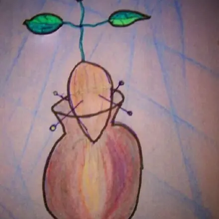 Avocado - Brotaufstrich