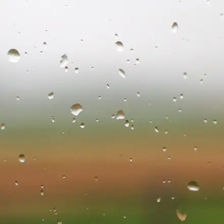 Weichspüler ins Wasser beim Fenster putzen
