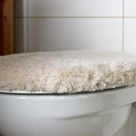 Urin- und Kalkstein entfernen