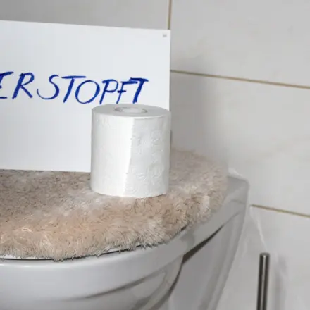 Verstopfte Toilette - Abfluss frei bekommen