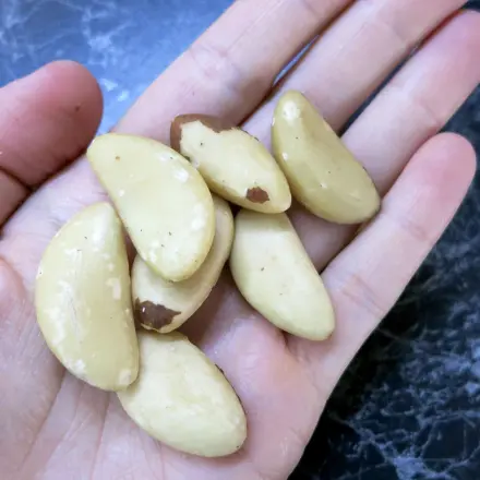 Paranüsse leichter von der Schale lösen