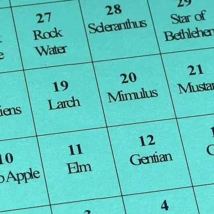 Bachblüten-Notfalltropfen für kranke oder welke Blumen