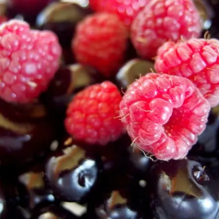 Günstiges, originelles Obstbehältnis