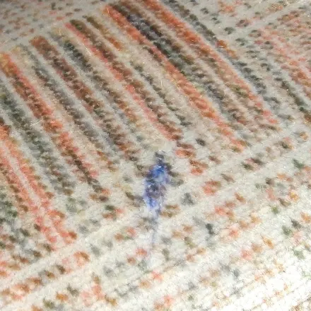 Kugelschreiberflecken auf Textilcouch entfernen