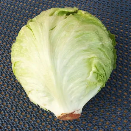 Einfaches Vorbereiten von Eisbergsalat
