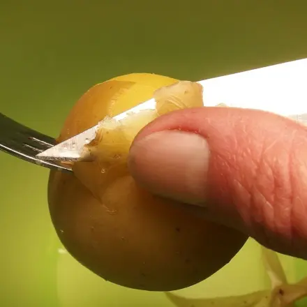 Pellkartoffeln einfacher schälen