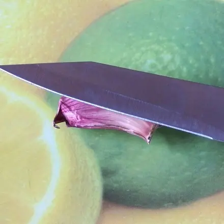 Knoblauchzehen leichter schälen