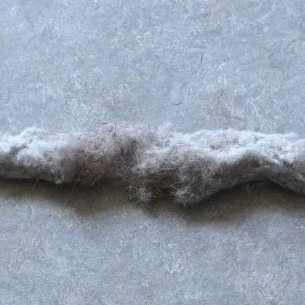 Besser als Staubsaugen: So bekämpft man Staub