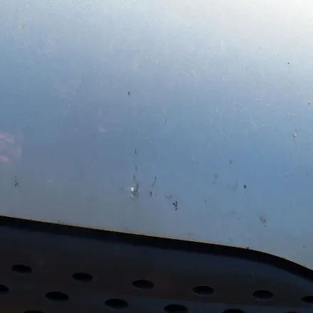 Fliege meets Windschutzscheibe oder Motorhaube