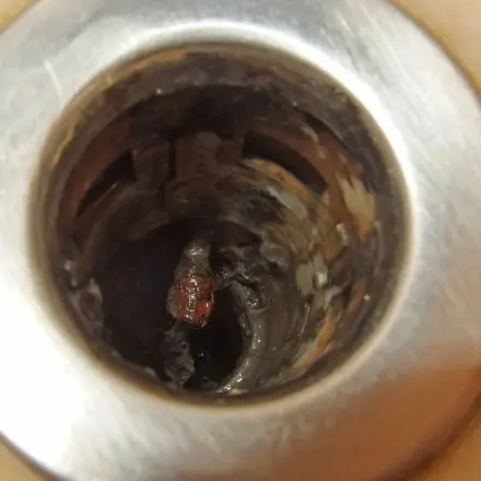 Abfluss in der Dusche freiblasen