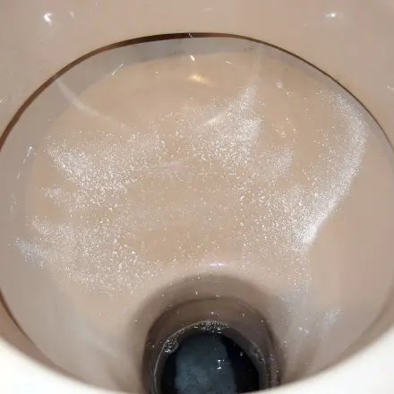 Spülmaschinenpulver für die Toilette