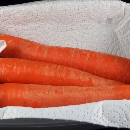 Möhren länger haltbar