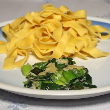 Bandnudeln mit Lauchsoße
