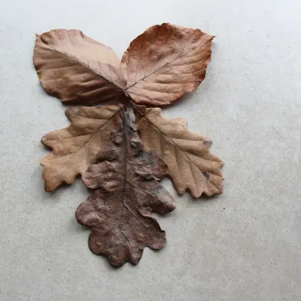 Schicker Wandschmuck