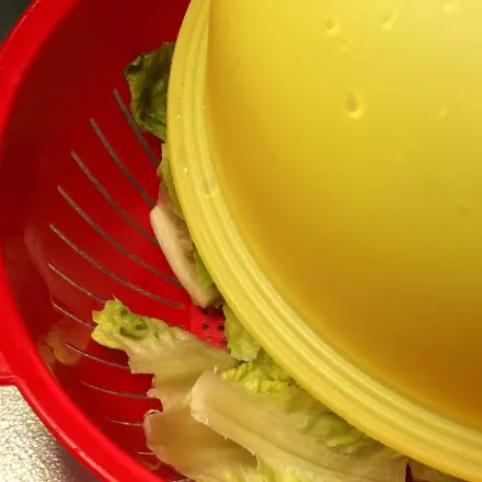 Salat schleudern