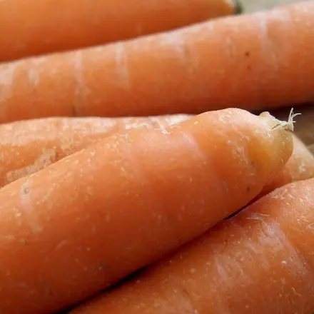 Gesichtspackung aus Möhrenmus