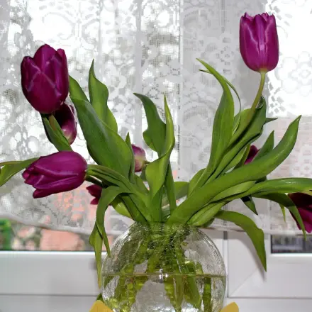 So lassen Tulpen ihren Kopf nicht hängen