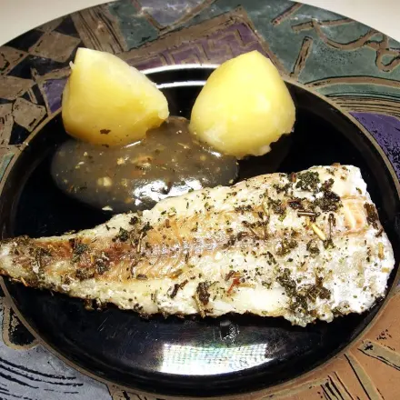 Fisch für Grill oder Backofen - allzeit bereit!