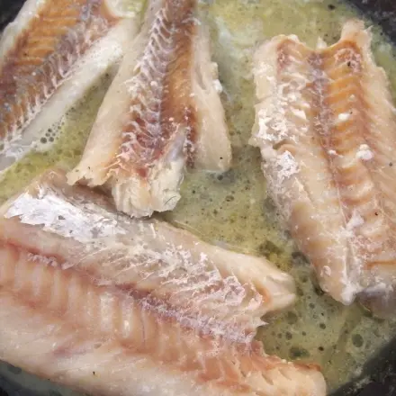 Wie bekomme ich Fischgeruch aus der Wohnung?