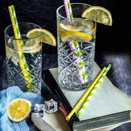 Kalorienfreie Zitronenlimo selbst machen