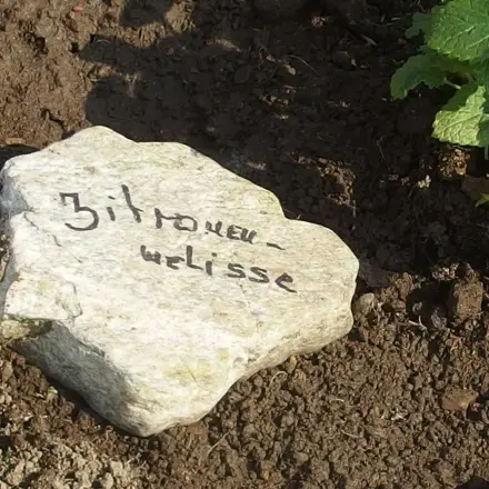 Steine fürs Kräuterbeet