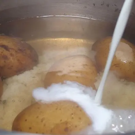 Schrumpelige Kartoffeln schmecken wie frisch gekauft