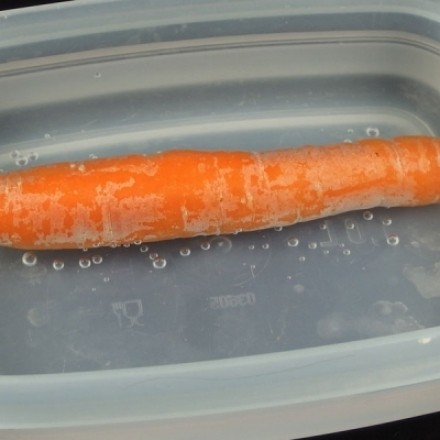 Labbrige Karotten wieder knackig