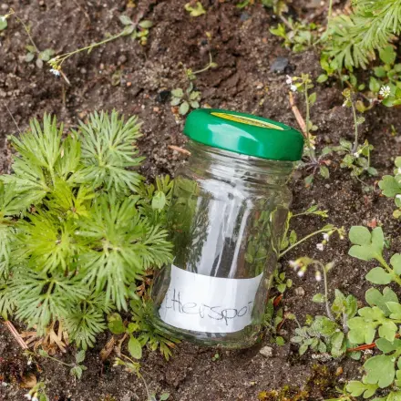 Schilder fürs Gemüsebeet