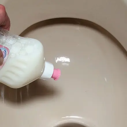 Saubere Toilette nach dem Urlaub